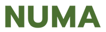 NUMA